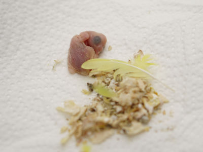 Leider nicht durchgekommen