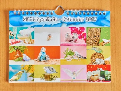 Sittichpark.de - Kalender 2017