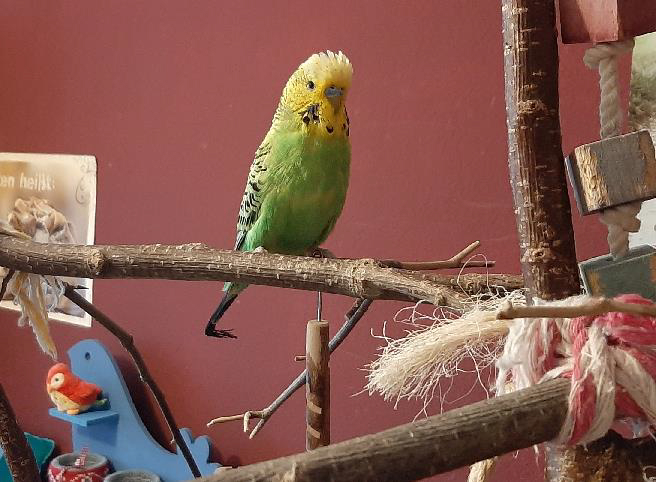 Max, Gerda & Felix 1