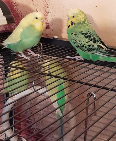 Max, Gerda & Felix 4