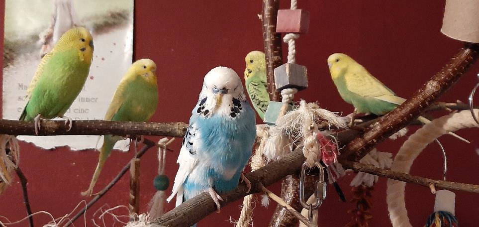 Max, Gerda & Felix 6